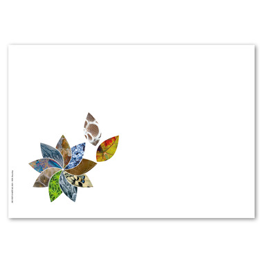 Busta primo giorno «Motivi naturali» Busta primo giorno (FDC) senza francobollo C6