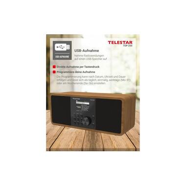 Telestar Radio Internet TOP 250 Brun