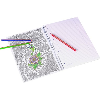 BRUNNEN Cahier à spirale Student A4 1067427 ligné avec marge 80 feuilles