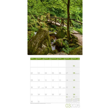 ACKERMANN Bildkalender 2026 4604 Traumpfade ML 30x30cm