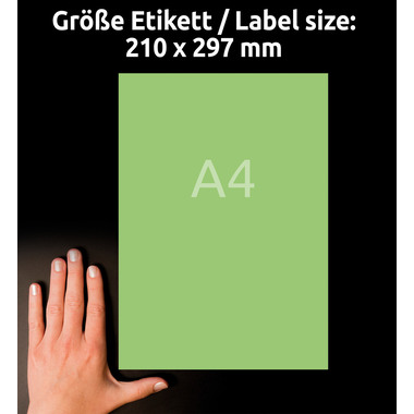 AVERY ZWECKFORM Etiquettes A4 3472 vert 100 pcs.