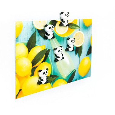 TRENDFORM Magnete PANDA FA4573 schwarz/weiss 5 Stück
