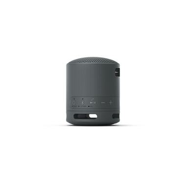 Sony Haut-parleur Bluetooth SRS-XB100 Noir