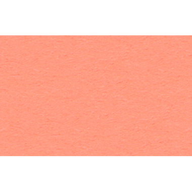 URSUS Carton photo A4 3764642 300g, corail 100 flls.