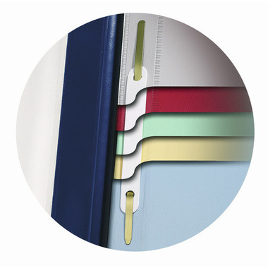 DURABLE Organisationsheft. Divisioflex 255706 für 100 Blatt A4,5-teilig blau