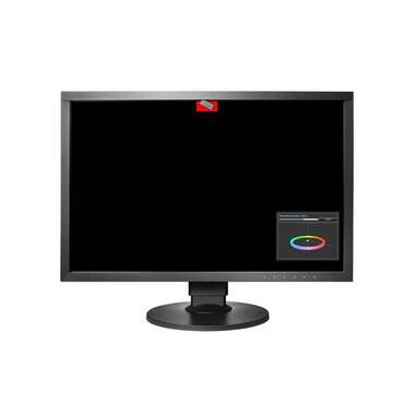 EIZO Moniteur CG2420 Swiss Edition 24.1 ", 1920 x 1200 (WUXGA)