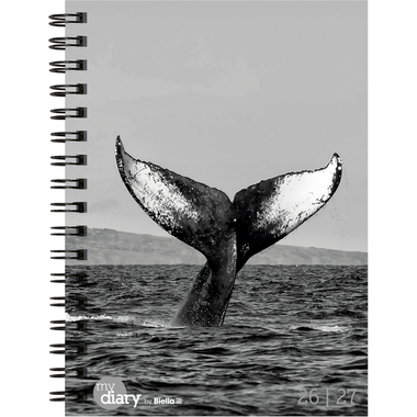 BIELLA Schüleragenda Whale 26/27 806517860027U 1W/2S 12x16.5cm