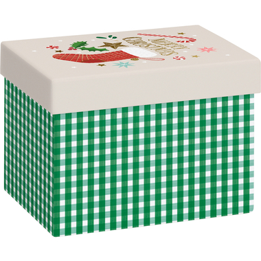 STEWO Geschenkbox Chralize 2551505698 grün 12x16.5x12cm