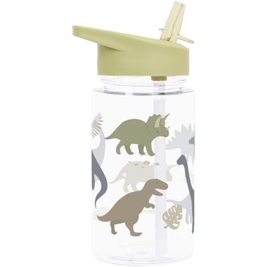ALLC Trinkflasche 450ml DBDIGR33 Dinosaurs