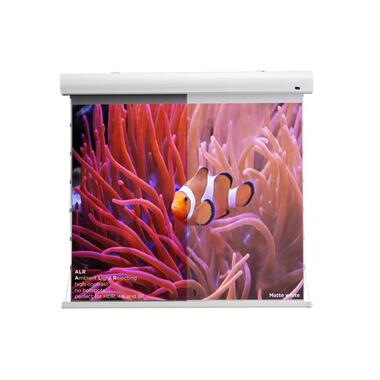 Celexon Tension-Leinwand HomeCinema Dynamic Slate ALR 298x168cm 16:9