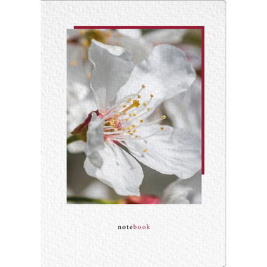 NATUR VERLAG Notizbuch Crushpaper A5 11006N Kirsche Foto, dotted