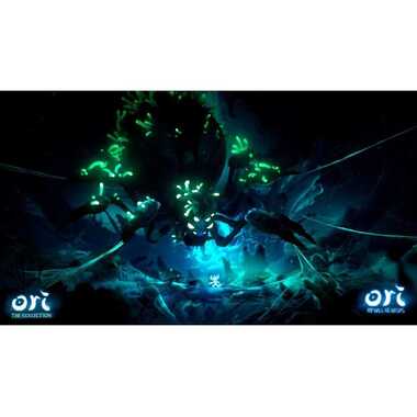 Flashpoint Ori: The Collection [NSW] (D) (Box)