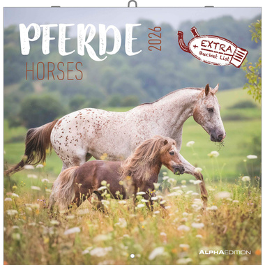 ALPHA EDITION Bildkalender 2026 160303 Pferde ML 30x30cm