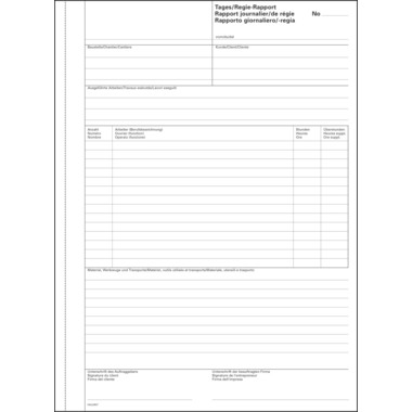 FAVORIT Regierapport D/F/I A4 9171 OK weiss 50x2 Blatt
