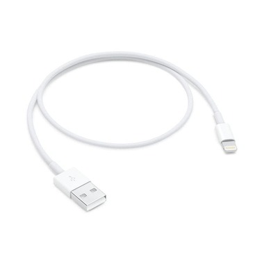 Apple Câble USB 2.0  USB-A - Lightning 0.5 m