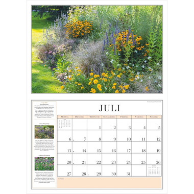 DUMONT Bildkalender 2026 260371 Garten-Kalender DE 42x29cm