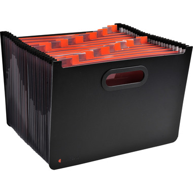 EXACOMPTA Fächermappe Exadesk Exactive 58934E 24 Fächer A4