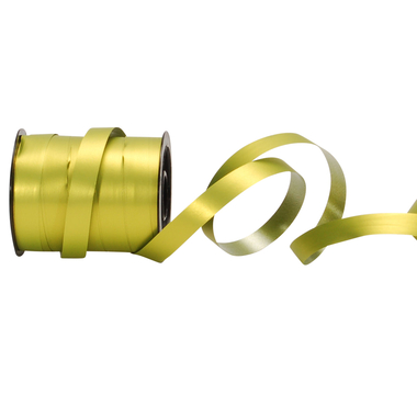 SPYK Bande Poly 0246.1072 10mmx15m vert