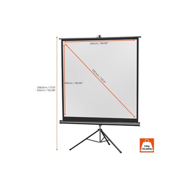 Celexon Tripod Screen Eco 244x244cm 1:1