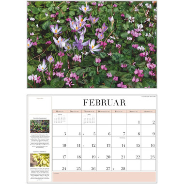 DUMONT Calendario 2026 260371 Giardino TE 42x29cm