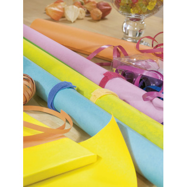 TESA Kabelbinder on&off 12mmx20cm 552360000 5-farbig 5 Stück