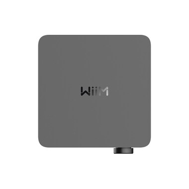 PIEGA SA Bundle Ace 30 + WiiM Amp Ultra (Argento/Grigio Spaziale)