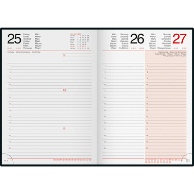 RIDOIDE Agenda Mentor Grafik 2026 7026037956.26 1G/1P assortiti ML 14.8x20.8cm