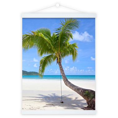 DEBEX Posterleisten 51x2cm LWMG 51 weiss, magnetisch