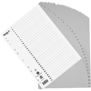 BIELLA Registro PP A4 47143100U grigio 1-31