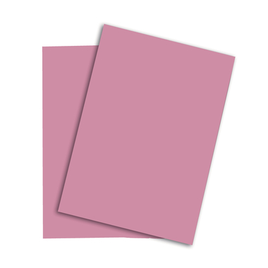 PAPYRUS Rainbow Papier FSC A4 88043107 120g, rosa 250 Blatt