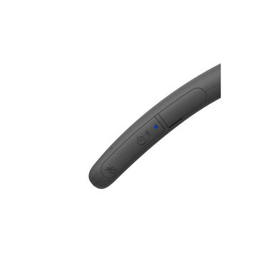 Sony Haut-parleur Bluetooth SRS-NB10 Noir