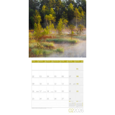 ACKERMANN Calendrier 2026 4611 Zauber des Waldes ML 30x30cm