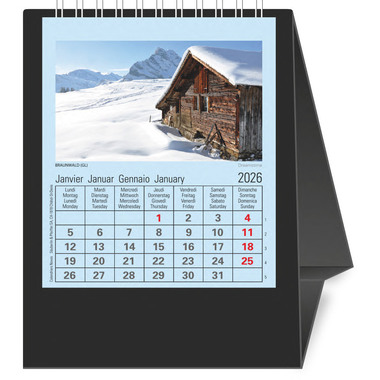 NOVOS Tischkalender Natura 2026 997052 1M/1S schwarz ML 11.5x14cm