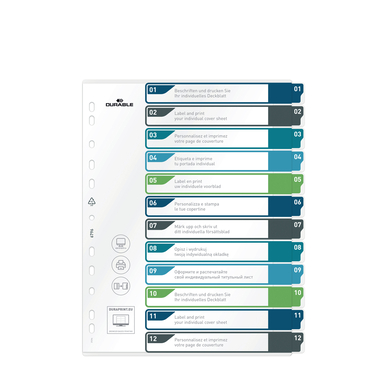 DURABLE Register PP A4+ 679627 mehrfarbig 1-12