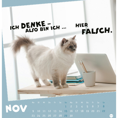 HEYE Postkarten.Kalender Pause 2026 23023+26 1M/1S DE 16x17cm