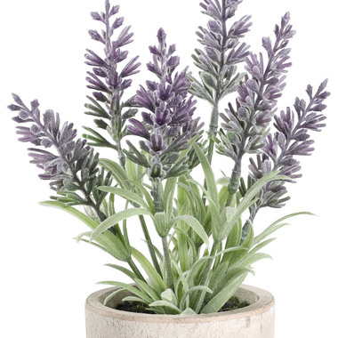 EGLO Kunstpflanze 22cm 428031 grün, im Topf