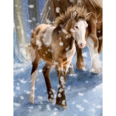 COPPENRATH Wandkalender 72644 Winterpferde