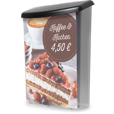 DEFLECTO Prospektbox A4 790801 für Aussenbereich