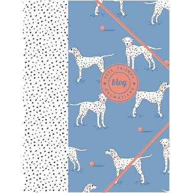 ANCOR Cartella con elastico A4 105438 PET FRIENDS blu