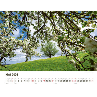 APPENZELLER Calendario 2026 9783858829047 Appenzeller TE 40x31cm
