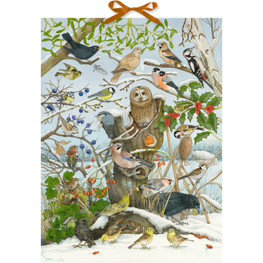 COPPENRATH Calendrier de l'avent sonore 95250 Nos oiseaux en hiver