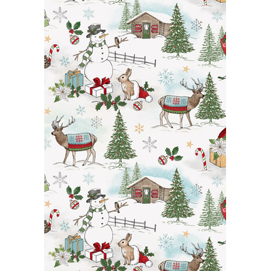STEWO Carta da regalo Leia 2522642220 0.5x250m rosso