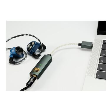 iFi Audio amplificatore per cuffie & USB-DAC GO link Max