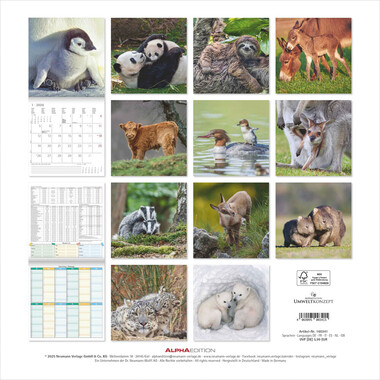 ALPHA EDITION Calendario 2026 160341 Tierbabys ML 30x30cm