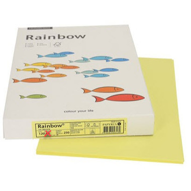 RAINBOW Papier jaune moyen/14 A3 88042325 120g, jaune 250 feuilles