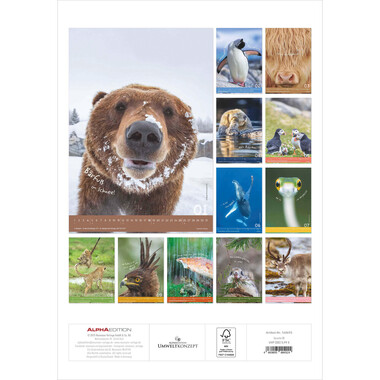 ALPHA EDITION Calendario 2026 160492 Tierisch cool! DE 23.7x34cm