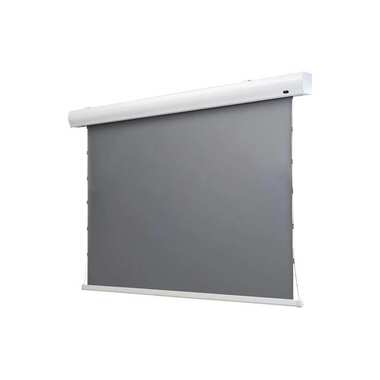 Celexon Tension Screen HomeCinema Dynamic Slate ALR 243x136cm 16:9