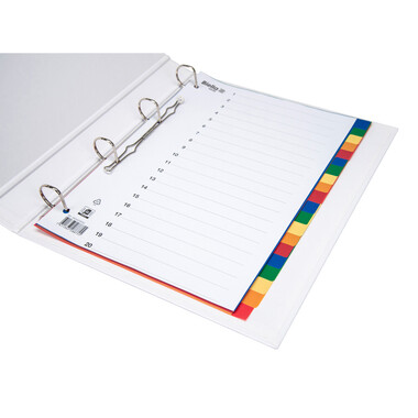 BIELLA Répertoires PP A4 46342000U couleurs 20 pcs.