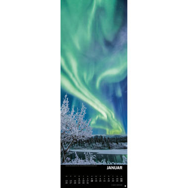 HEYE Calendario 2026 21903+26 Forze della naturaTE 24.5x69cm