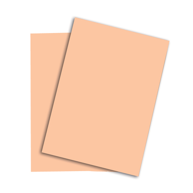 RAINBOW Papier lachs/40 A4 88042498 FSC, 80g 500 Blatt
